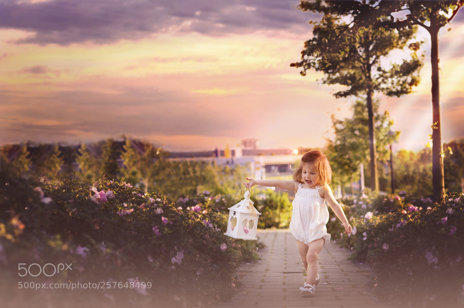 Nikon D3200 sample photo. Sunset walk photography