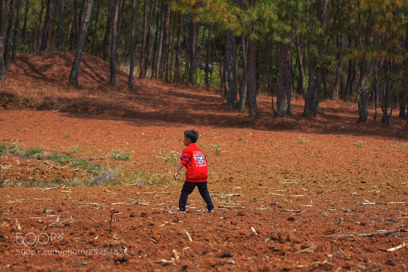 Nikon D7200 sample photo. Boy photography
