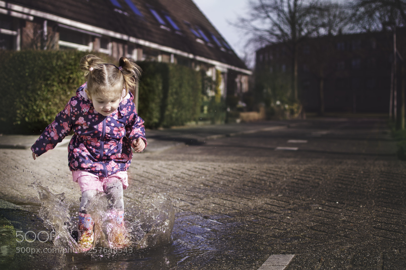 Nikon D4S sample photo. Puddle photography
