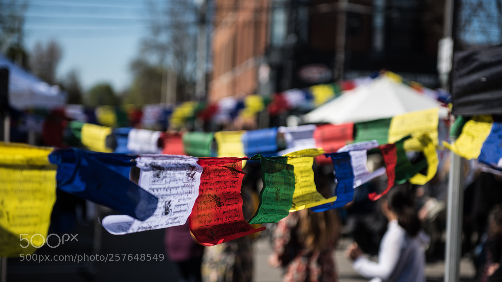 Nikon D810 sample photo. Say a prayer photography