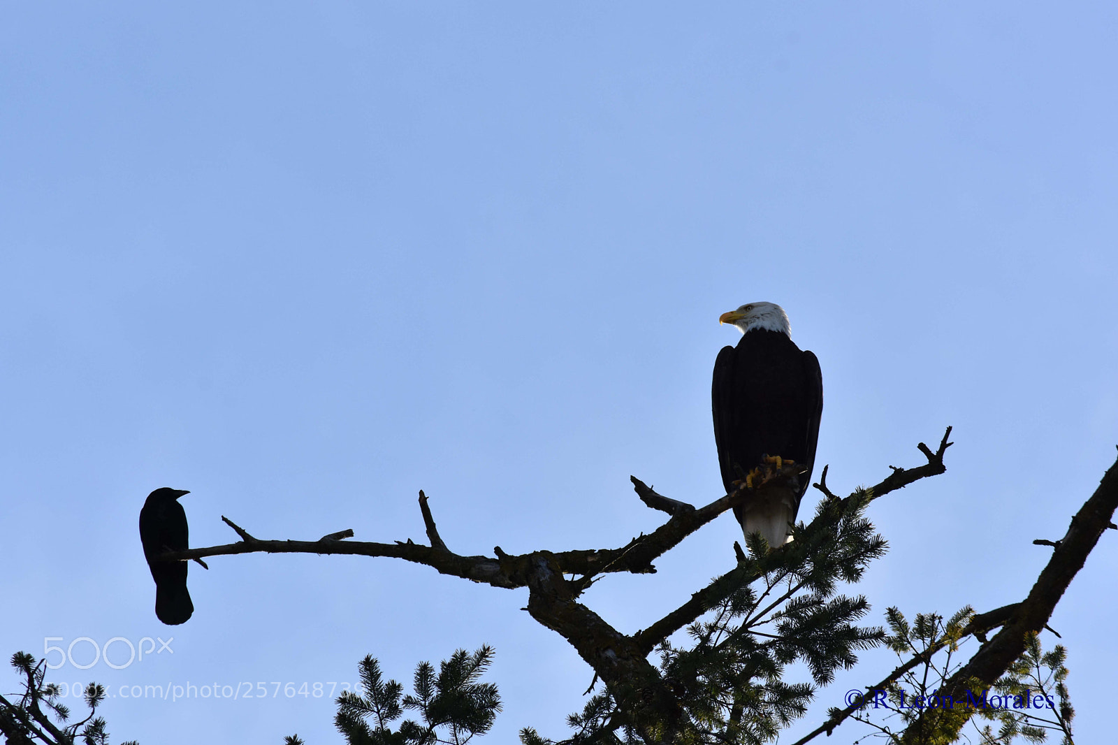 Nikon D7200 sample photo. I can see you photography
