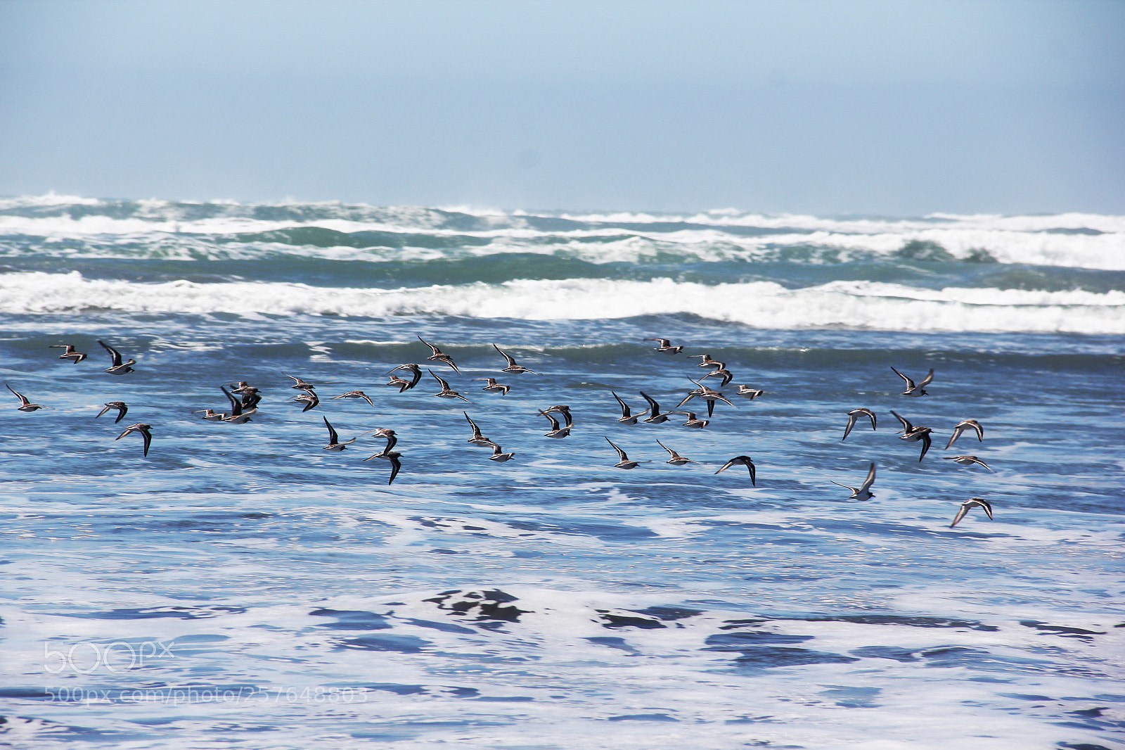 Canon EOS 60D sample photo. Beach day photography