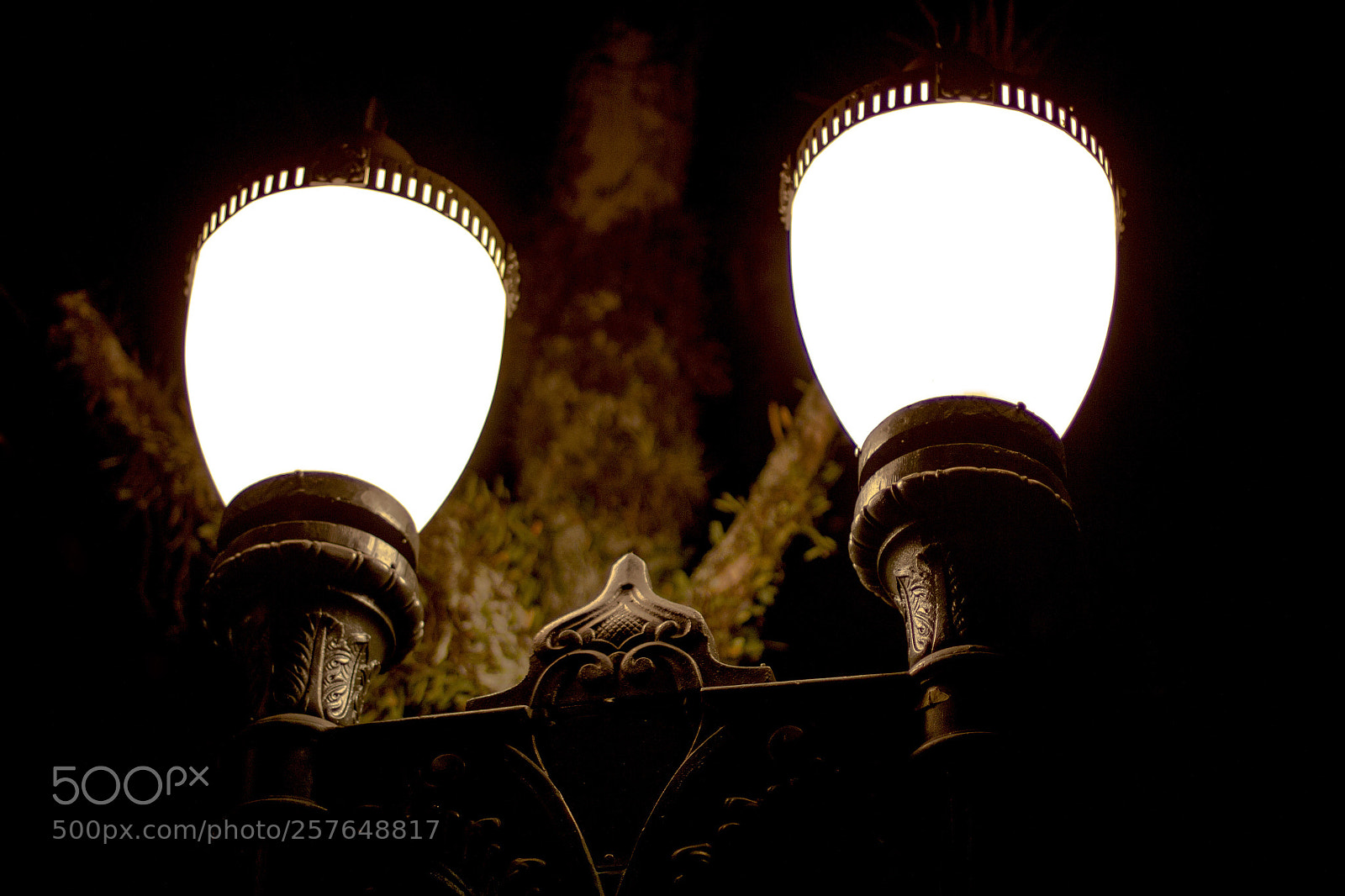 Canon EOS 60D sample photo. Untitled photography