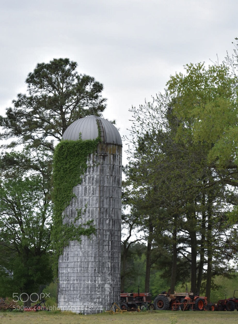 Nikon D3400 sample photo. Silo photography