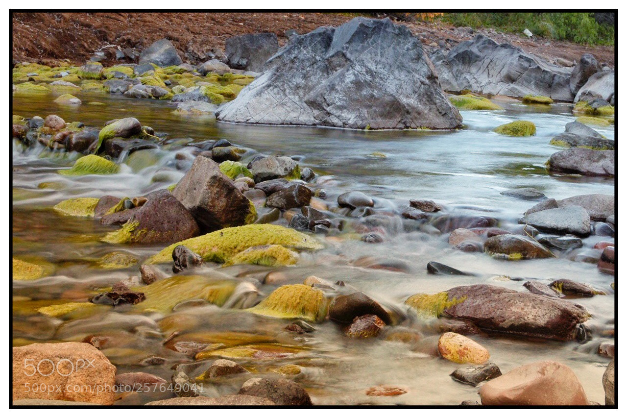Nikon D5500 sample photo. Autumn.... photography