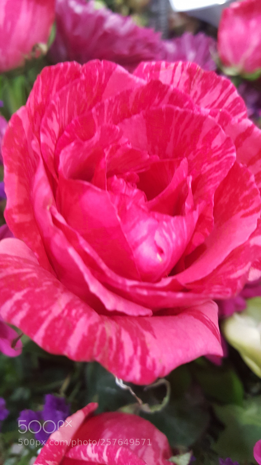 Samsung Galaxy Note5 sample photo. Untitled photography