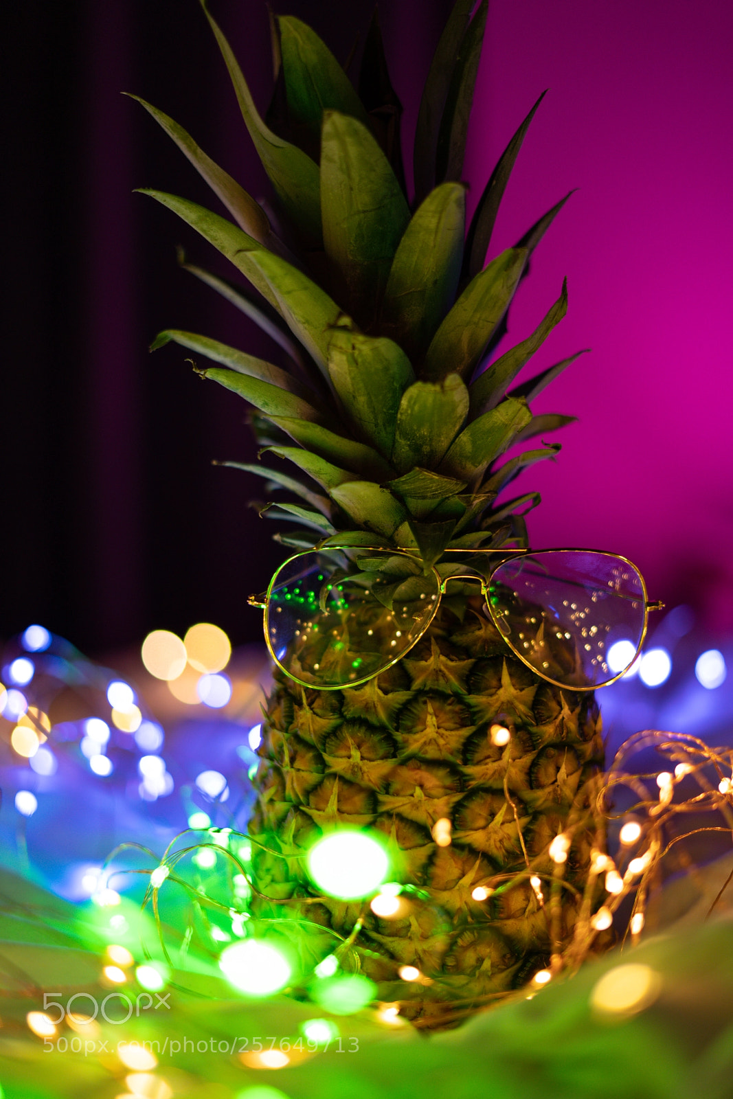 Sony a7R III sample photo. Essence of a pineapple photography