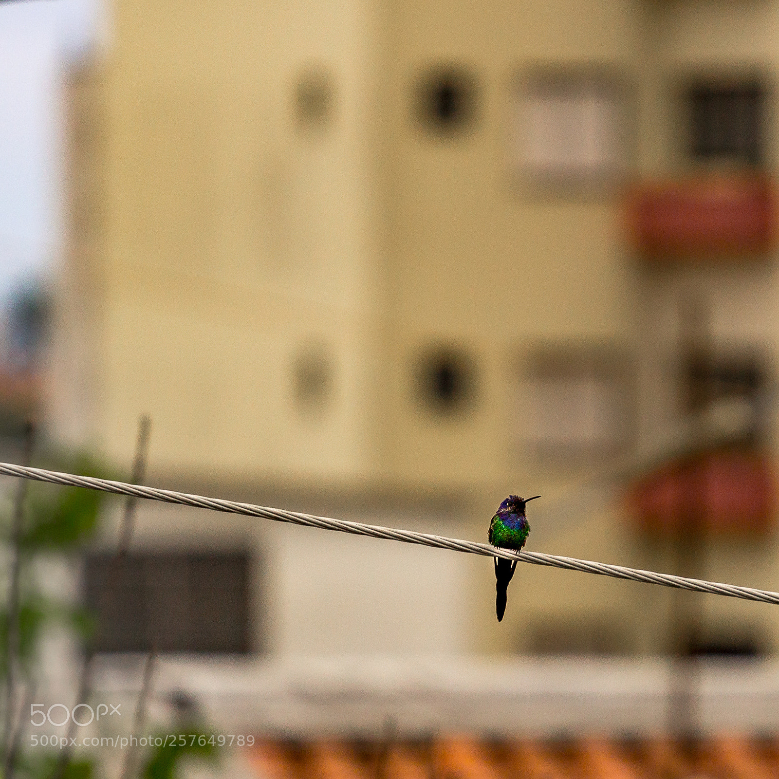 Canon EOS 1200D (EOS Rebel T5 / EOS Kiss X70 / EOS Hi) sample photo. Untitled photography
