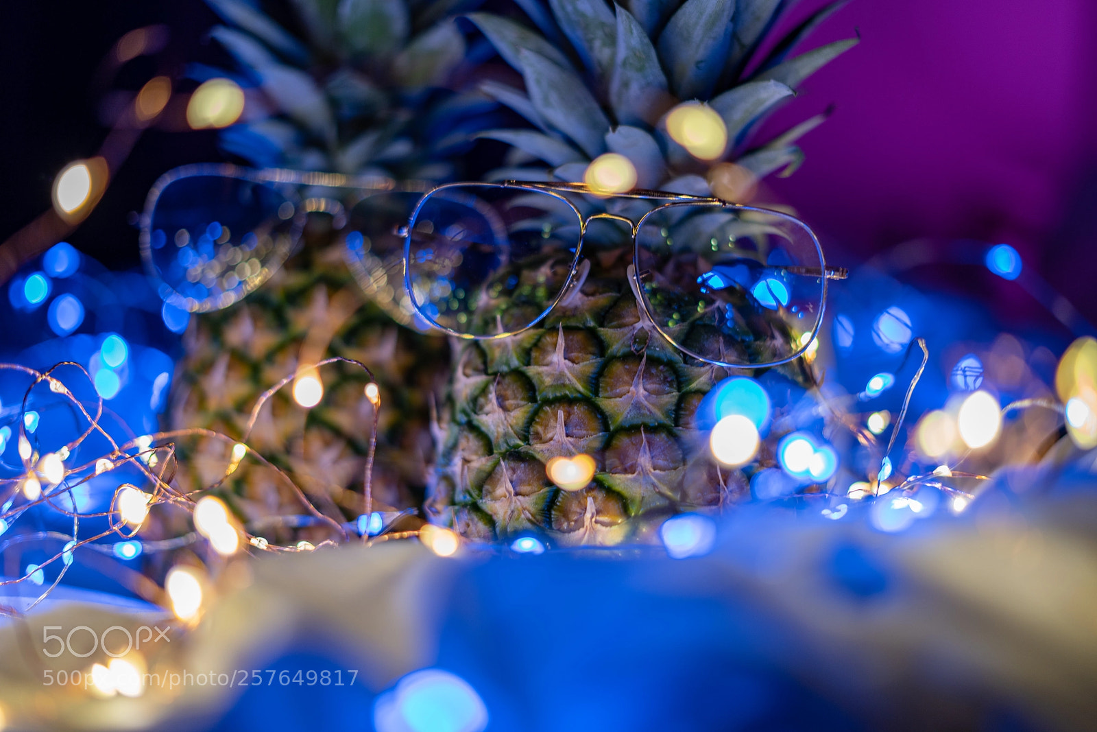 Sony a7R III sample photo. Essence of a pineapple photography