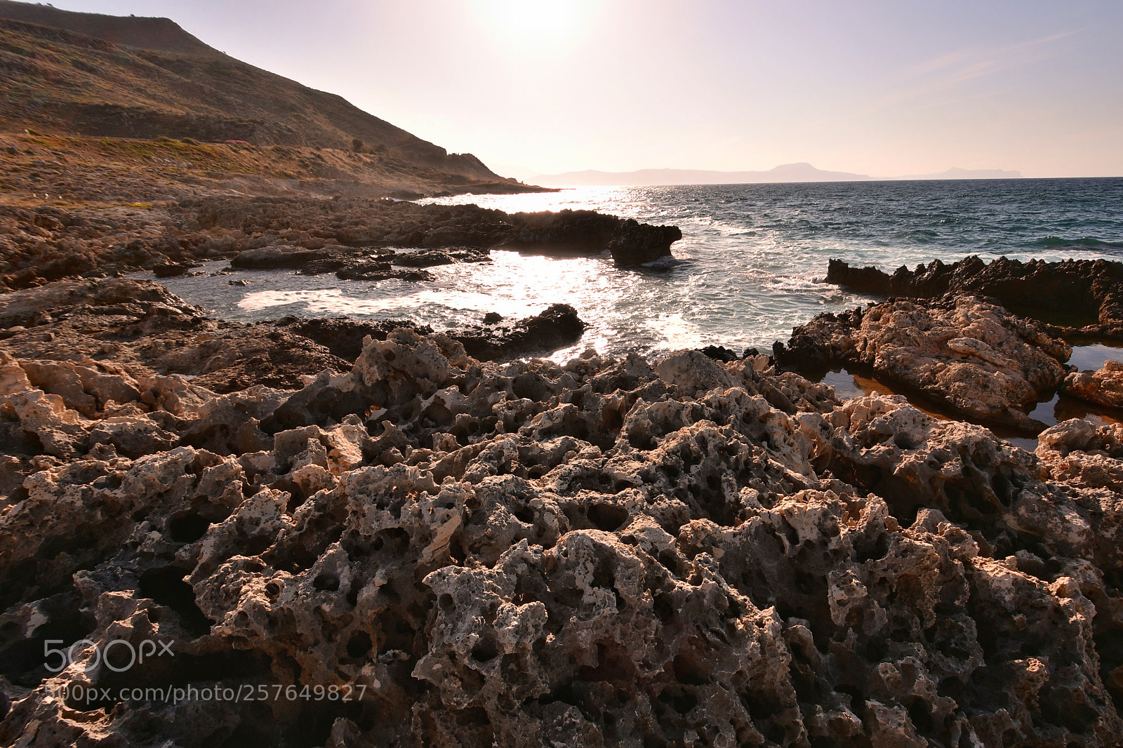 Nikon D500 sample photo. Sunlight photography