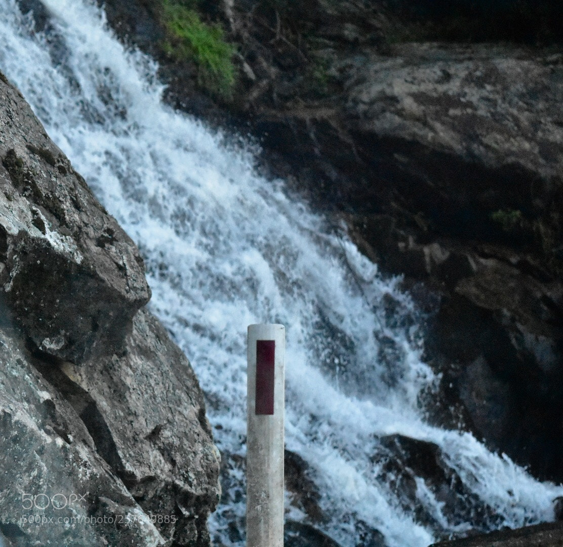 Nikon D3400 sample photo. Roadside spring photography