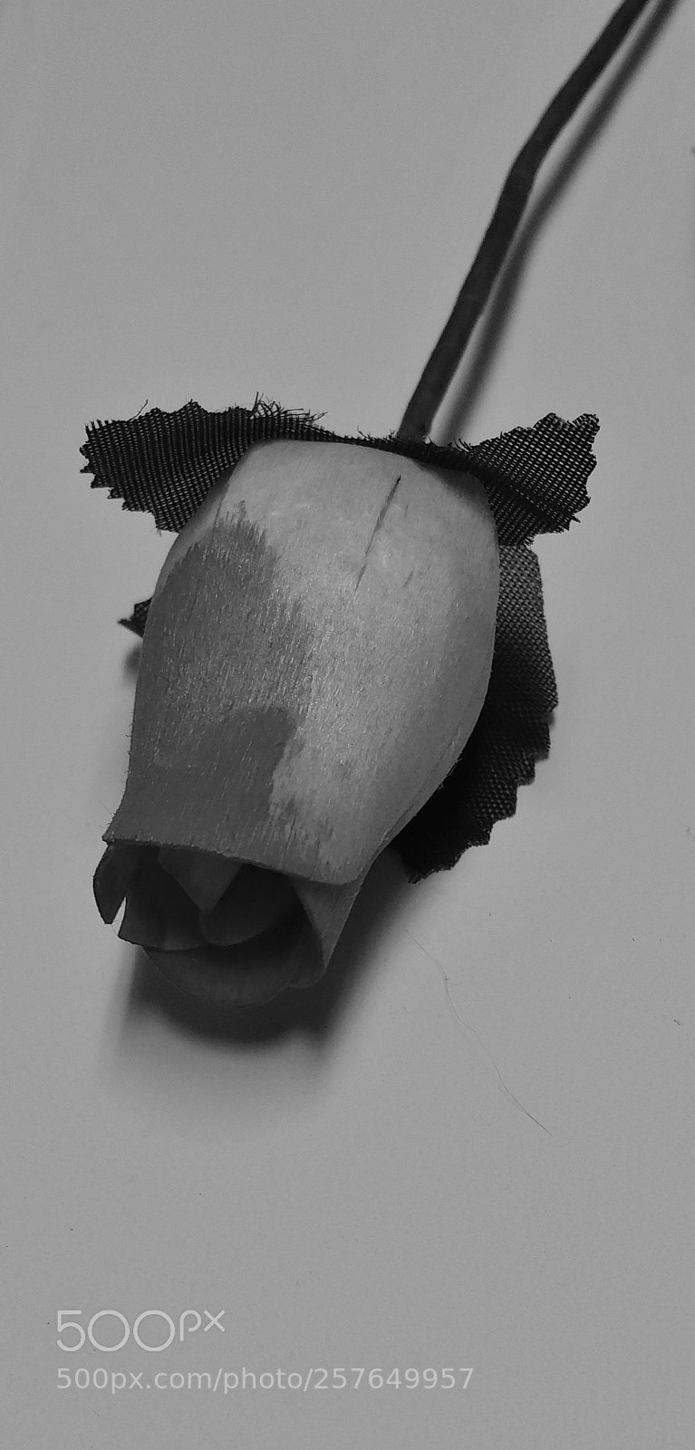 Samsung Galaxy Note4 sample photo. Fake rose photography
