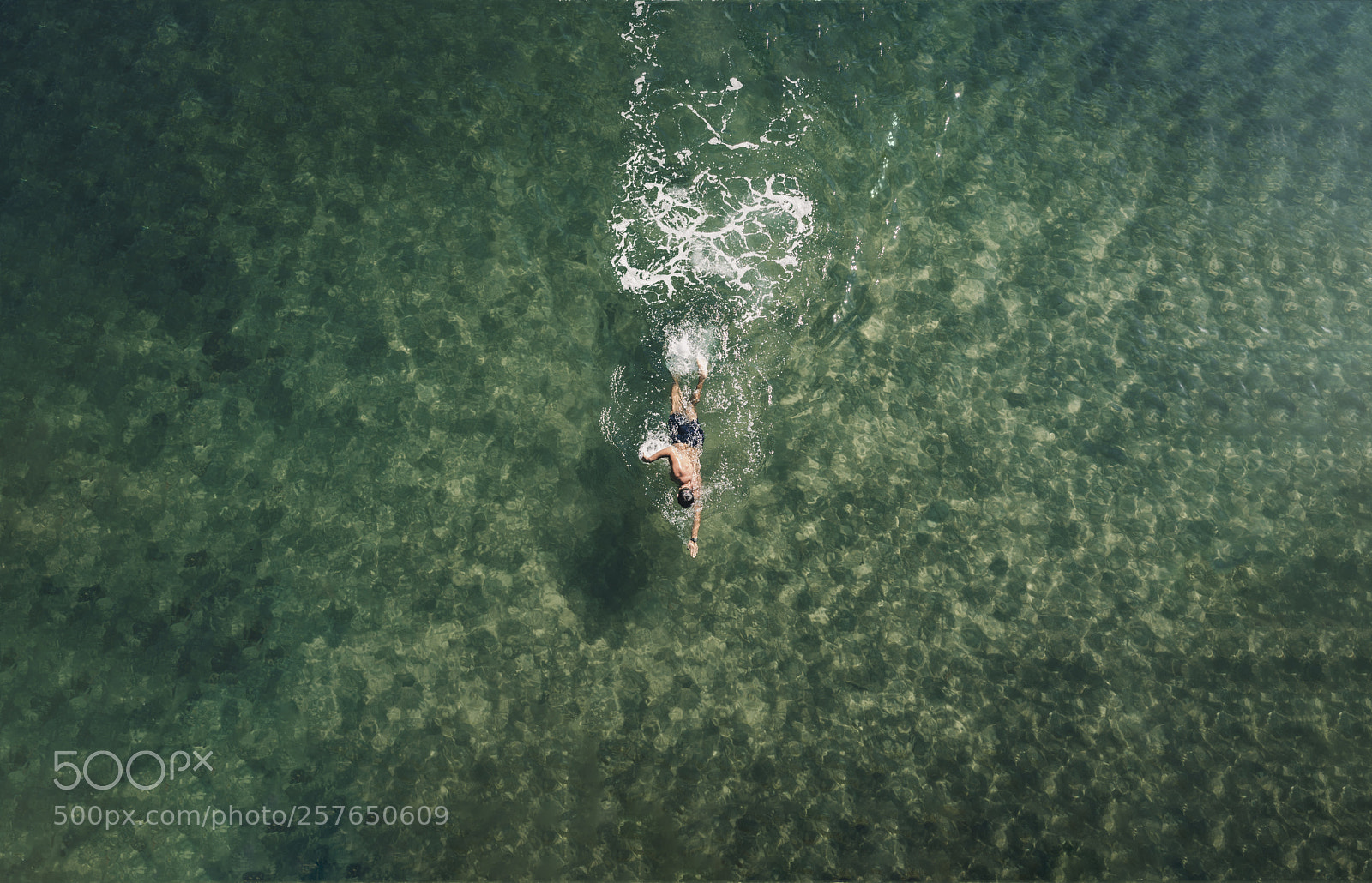 Nikon D600 sample photo. Swimmer from the above photography