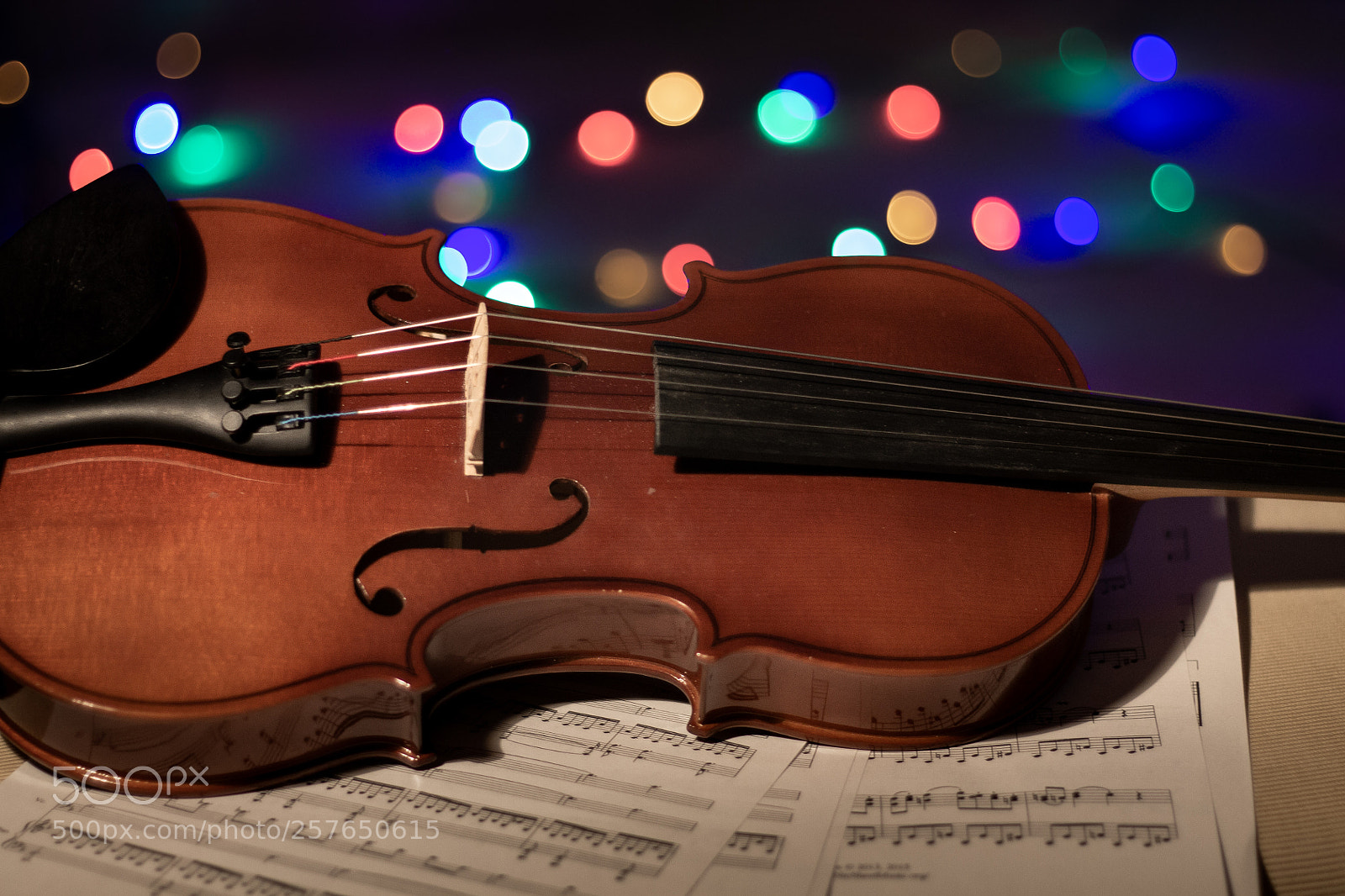 Canon EOS 1100D (EOS Rebel T3 / EOS Kiss X50) sample photo. Bokehlicious violin photography