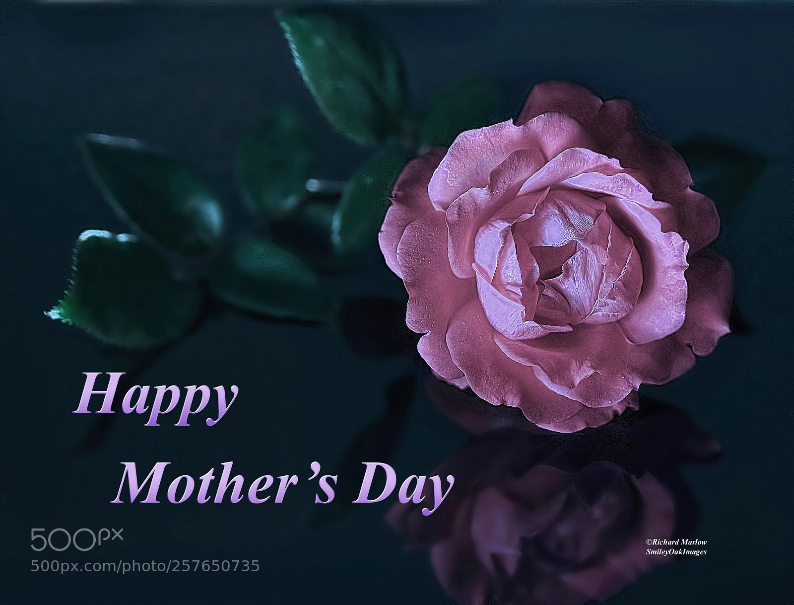 Nikon D5000 sample photo. Happy mothers day photography