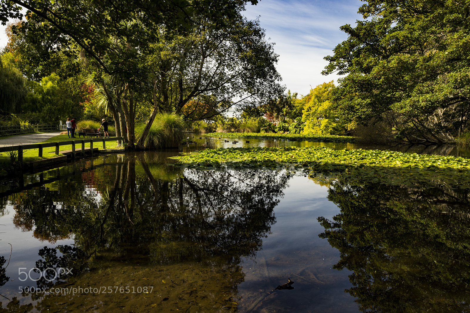 Canon EOS 6D Mark II sample photo. Reflections in oamaru gardens photography