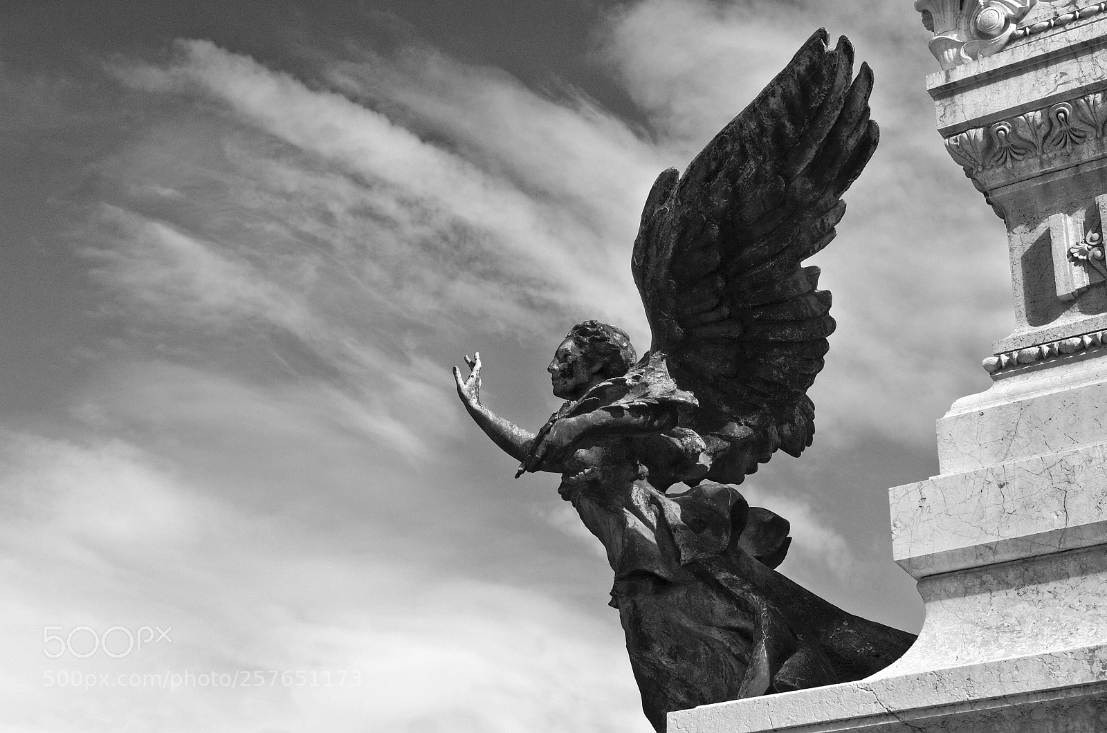 Nikon D700 sample photo. Reaching for the heavens photography