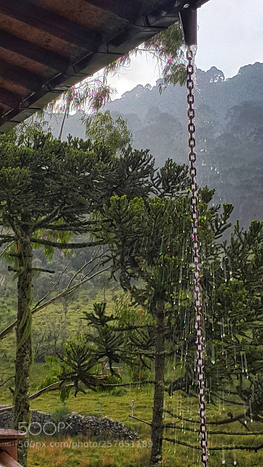 Samsung Galaxy Note4 sample photo. Rain photography