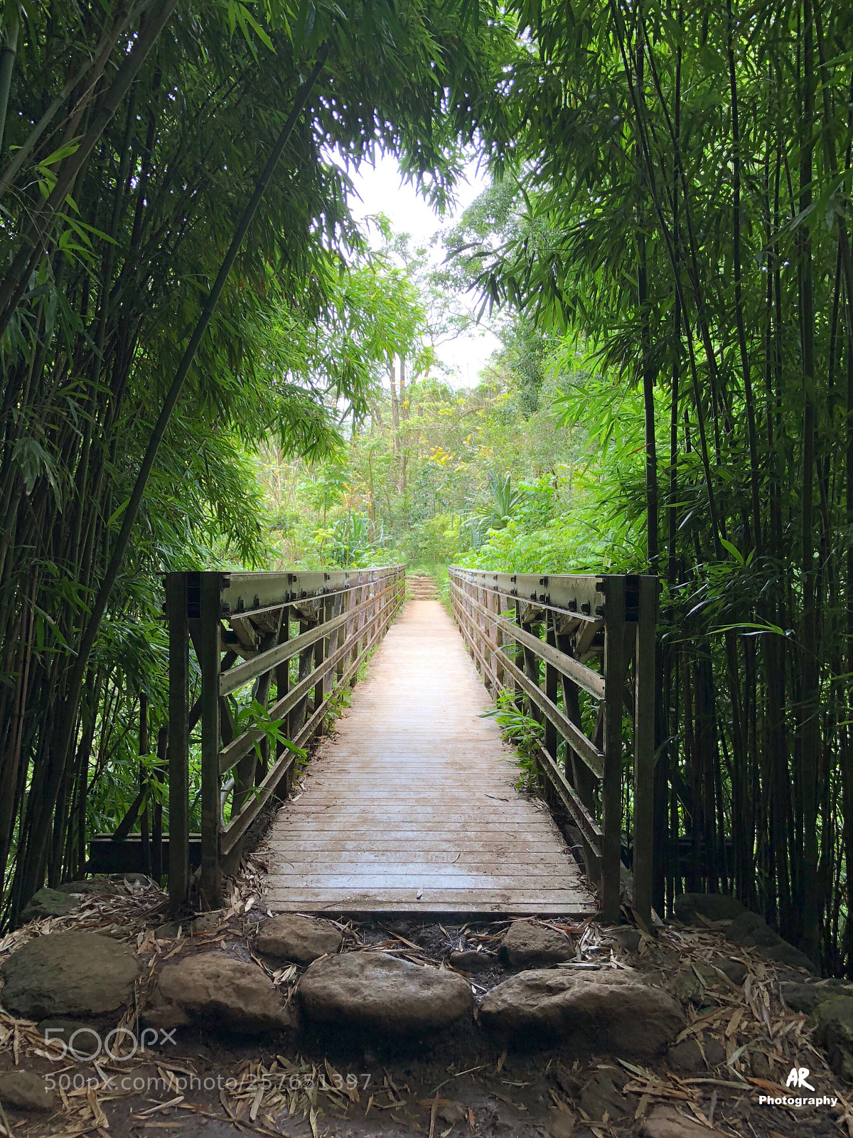 Apple iPhone X sample photo. Pipiwai trail photography