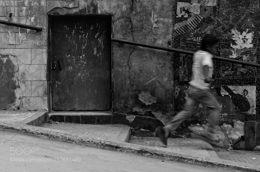 Nikon D5100 sample photo. © yasser alaa mobarak photography
