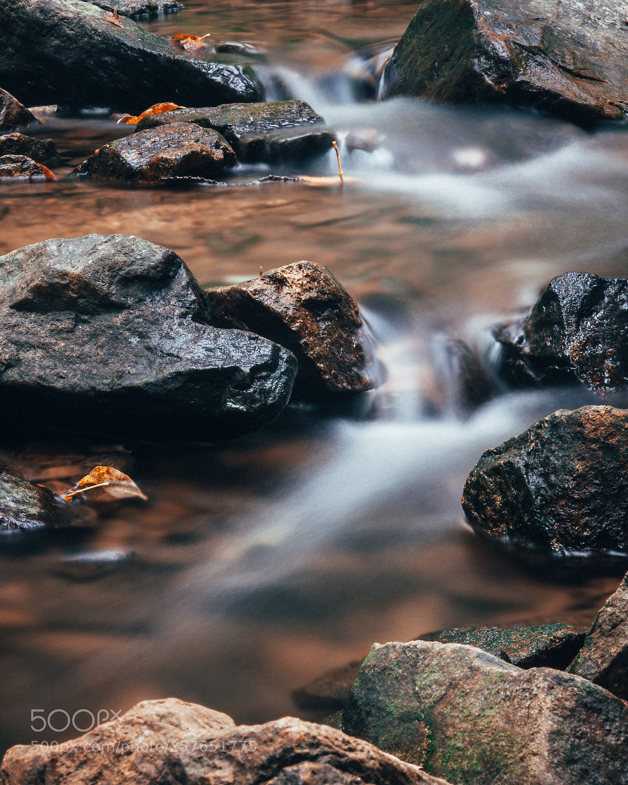 Canon EOS 40D sample photo. Little stream photography
