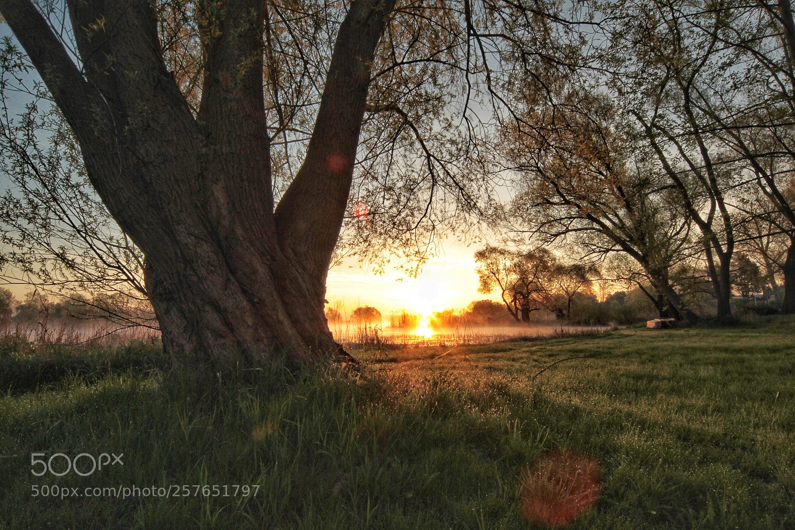 Canon EOS-1D Mark IV sample photo. Untitled photography