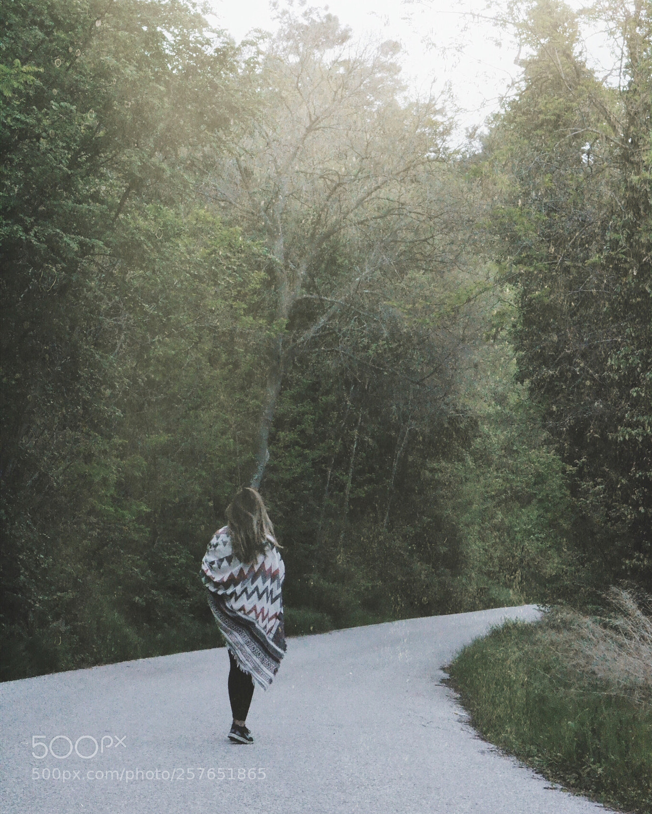 Nikon D3100 sample photo. "into the woods".. photography