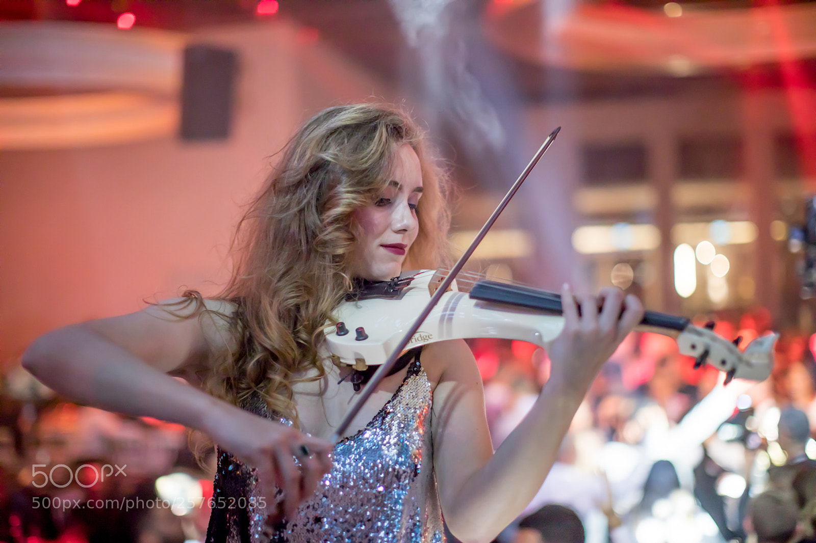 Canon EOS 5D Mark IV sample photo. Nataliya nyzhnyk photography