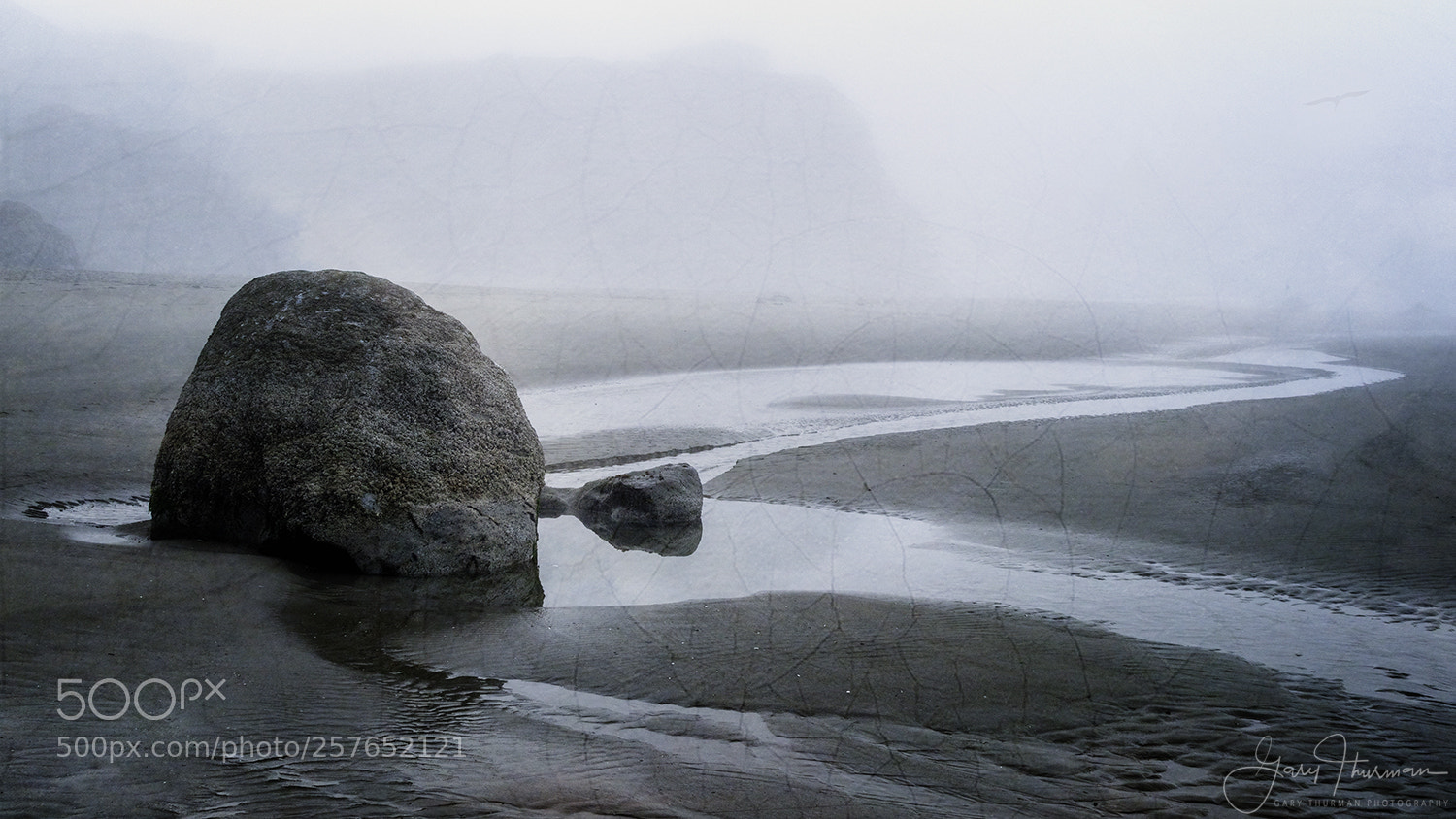 Canon EOS 7D Mark II sample photo. Into the fog photography