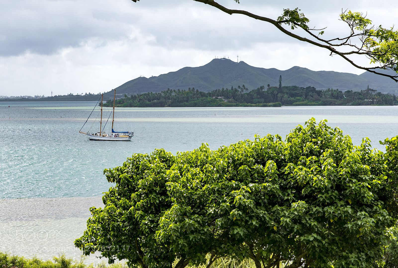 Nikon D750 sample photo. Kaneohe bay photography