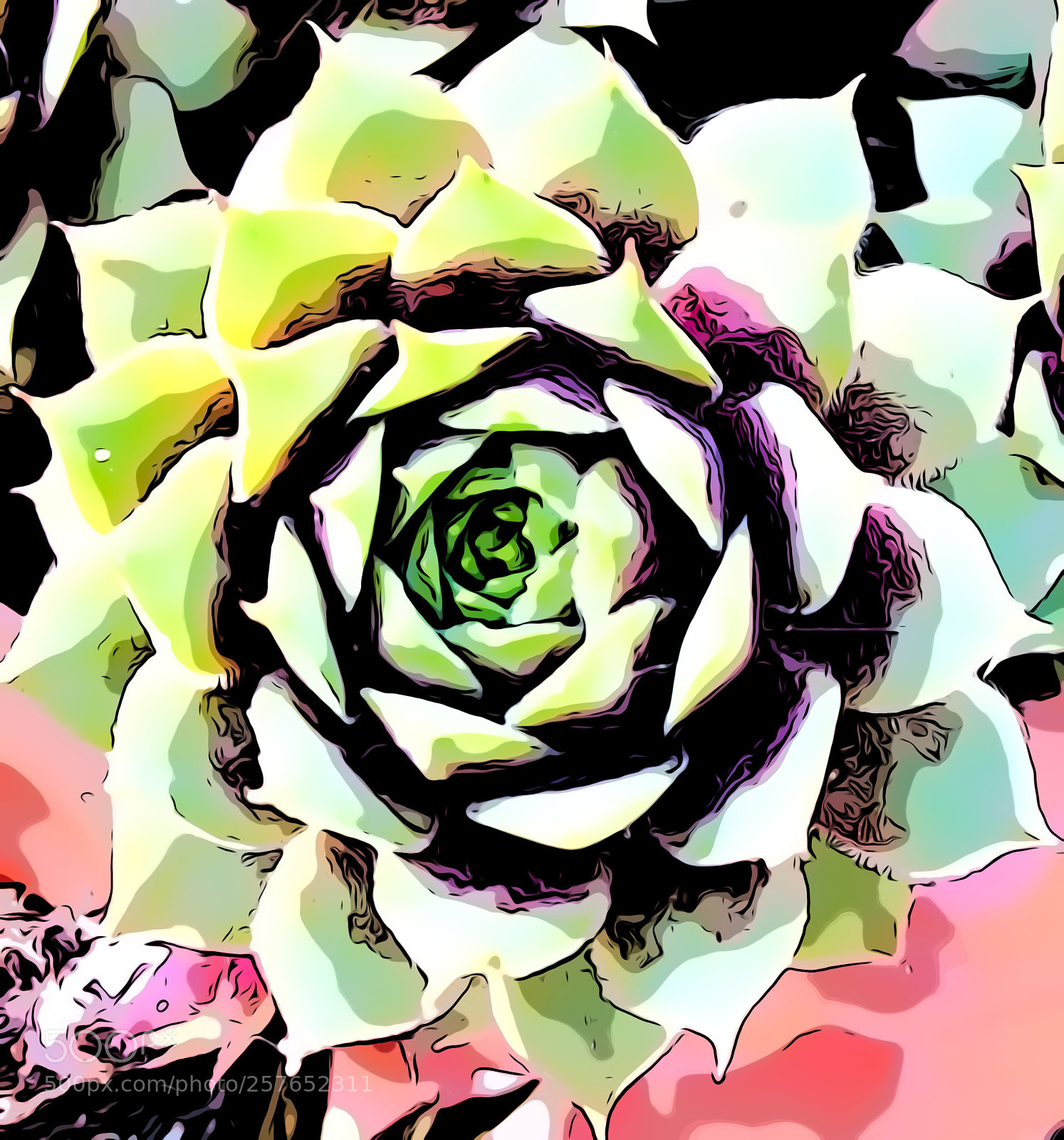 Apple iPhone X sample photo. Succulent photography