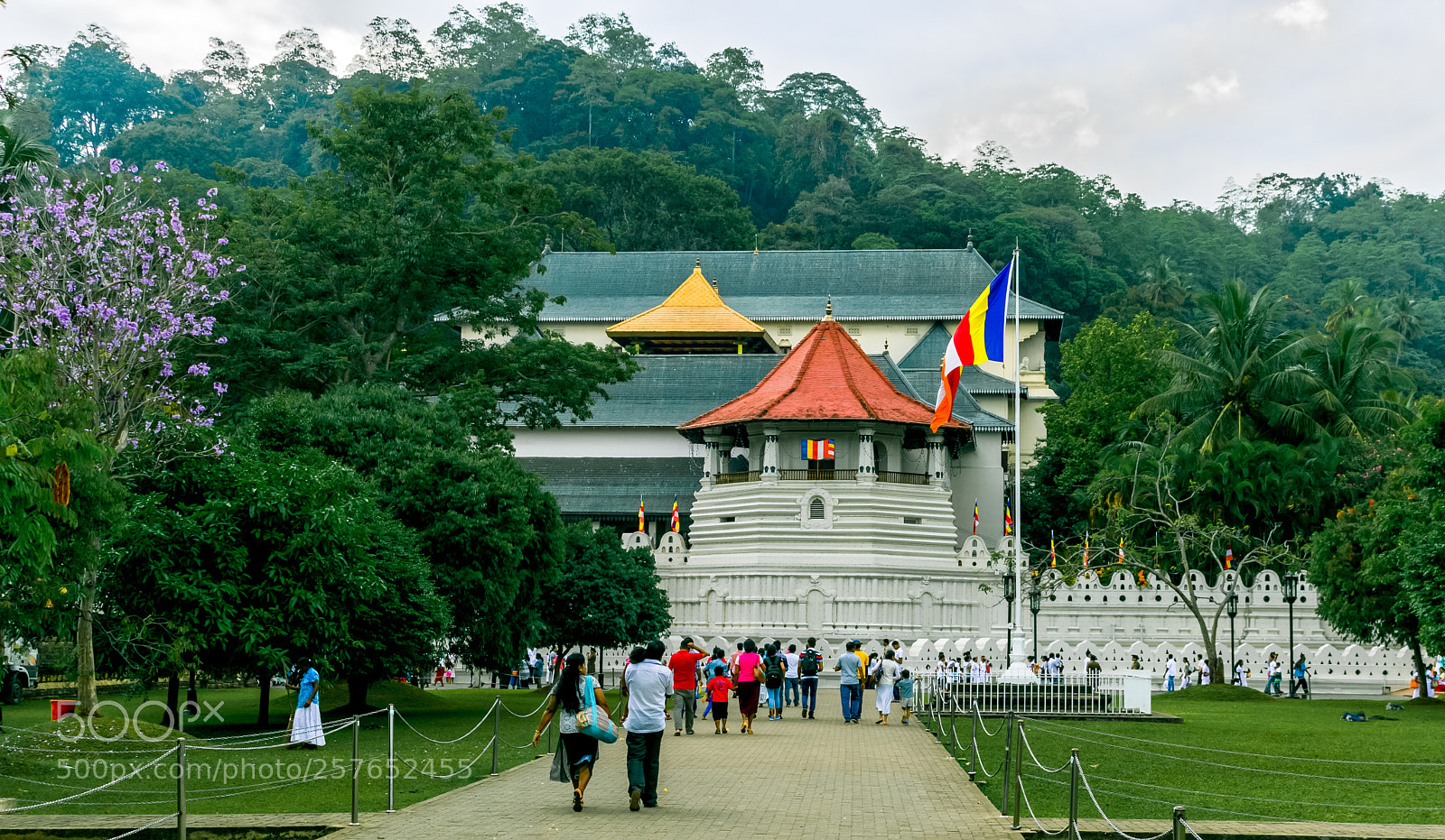Canon EOS 750D (EOS Rebel T6i / EOS Kiss X8i) sample photo. Temple tooth photography