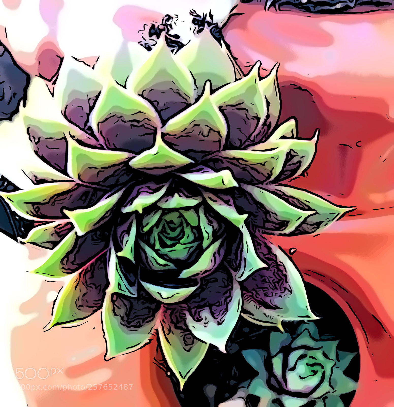 Apple iPhone X sample photo. Succulent 2 photography