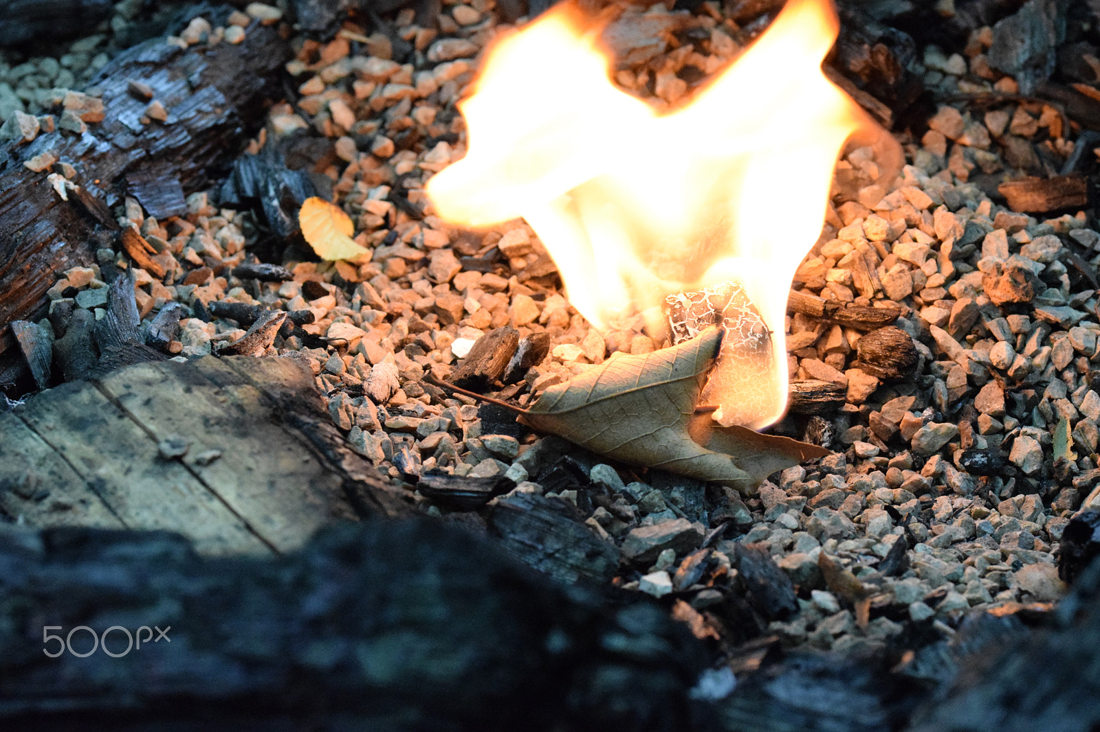 Nikon D3300 + Sigma 105mm F2.8 EX DG OS HSM sample photo. Fire in the woods photography