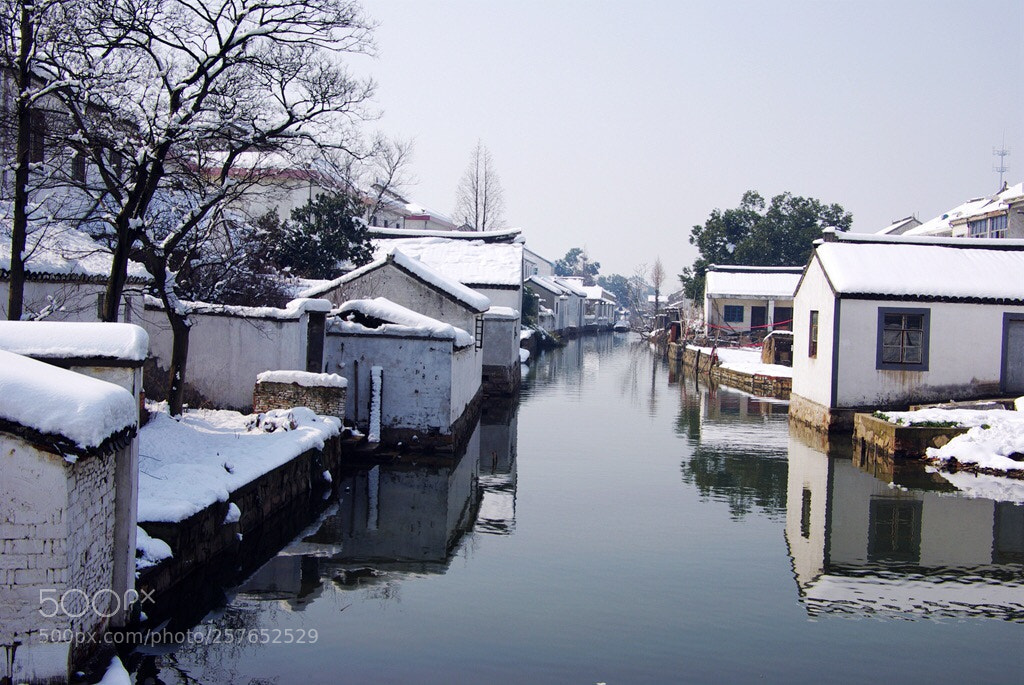 Pentax K10D sample photo. Untitled photography
