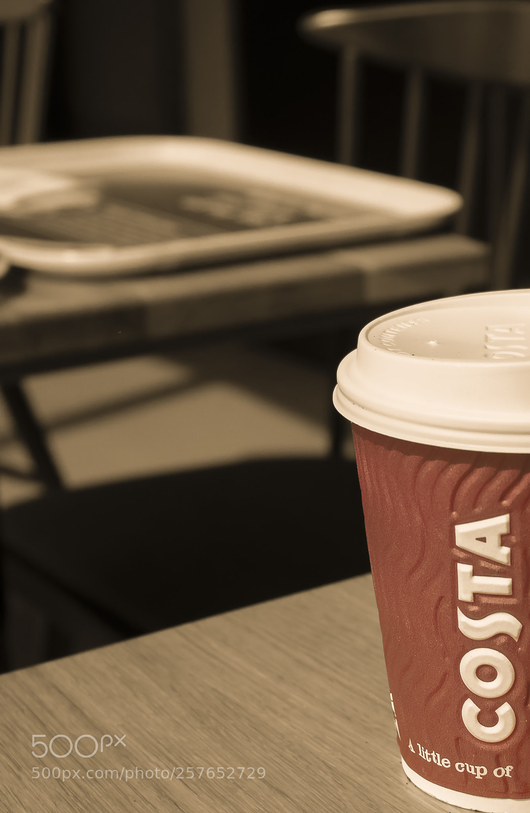Canon EOS 200D (EOS Rebel SL2 / EOS Kiss X9) sample photo. A little cup of photography
