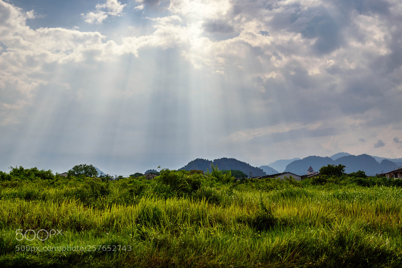 Nikon D610 sample photo. Ray from the sky photography