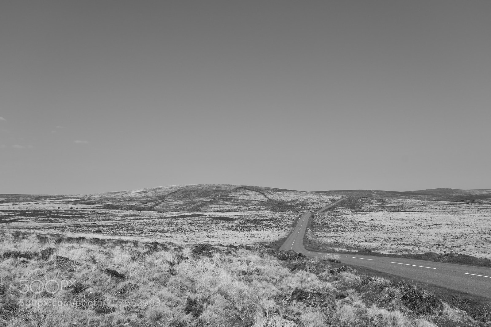 Nikon D5600 sample photo. The road to nowhere photography