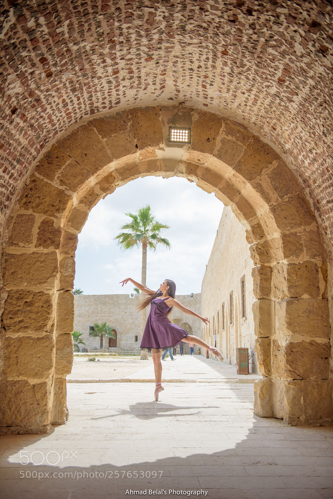 Nikon D750 sample photo. Ballet in the castle photography