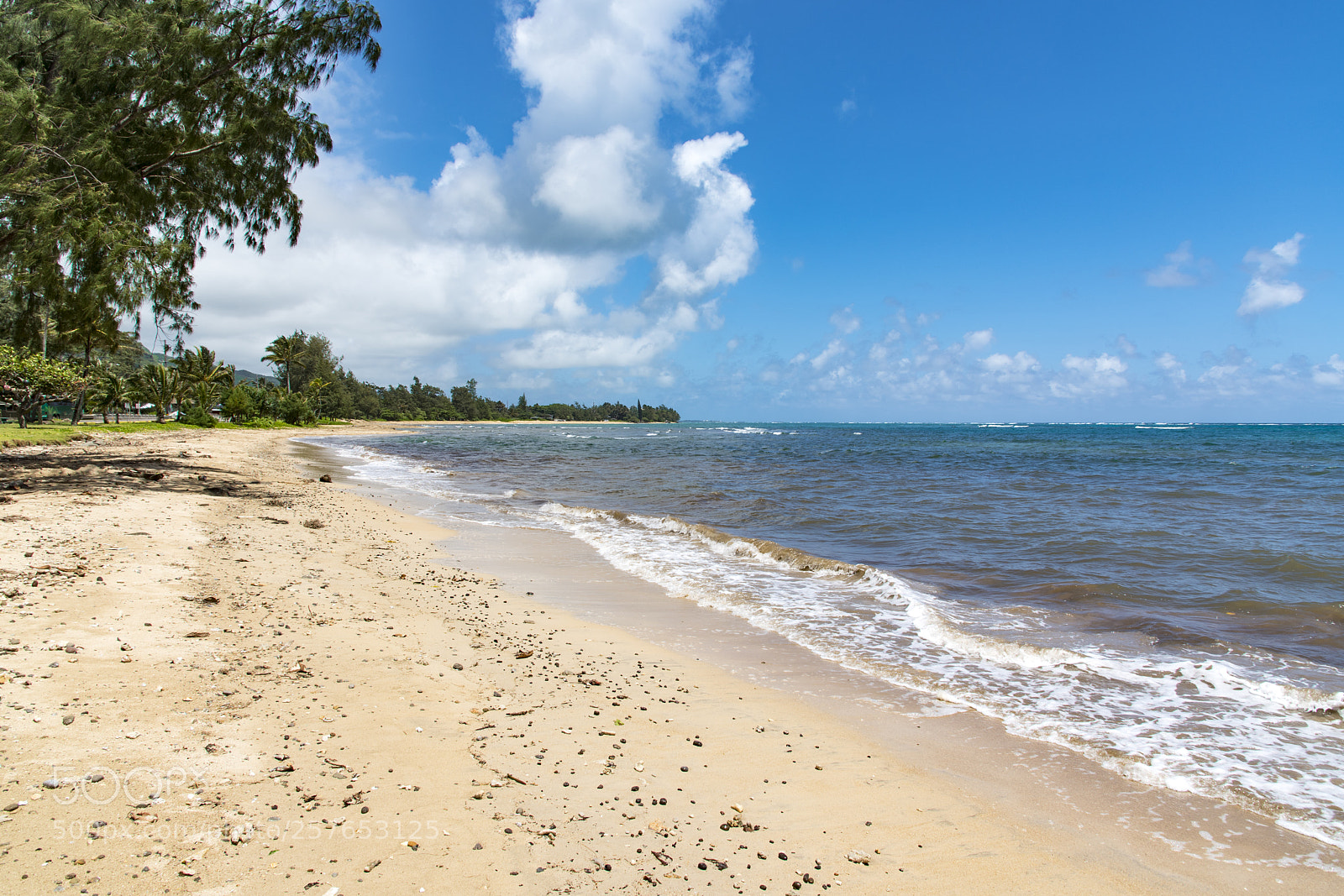 Nikon D750 sample photo. North shore photography