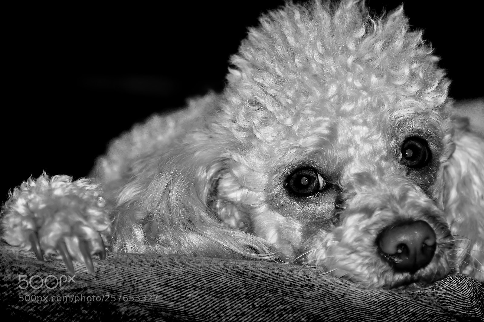 Nikon D90 sample photo. Friend photography