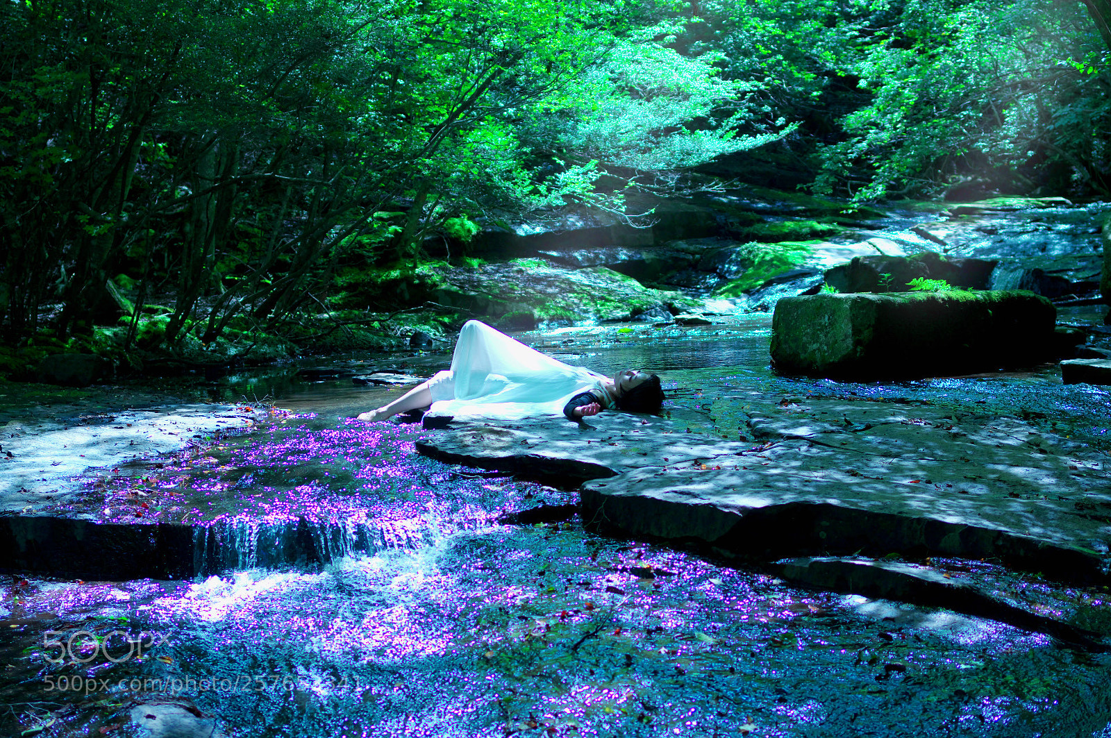 Pentax K-3 sample photo. Purple photography