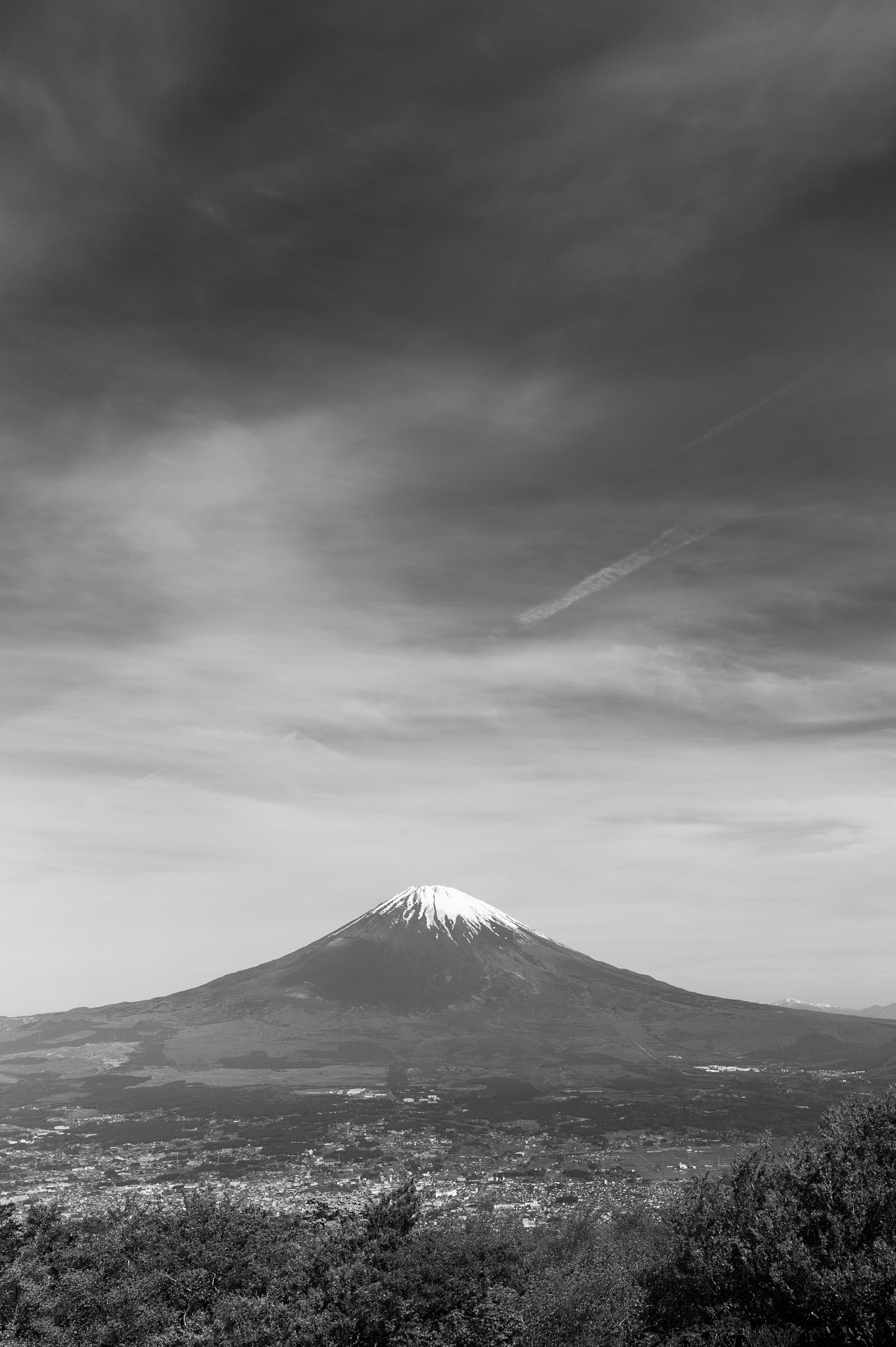 Summicron-M 35mm f/2 (IV) sample photo. L photography