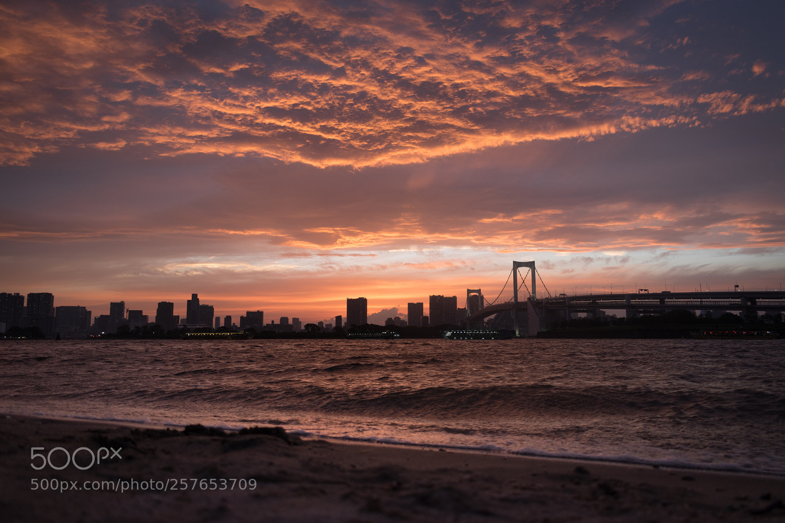 Nikon D5600 sample photo. Odaiba photography