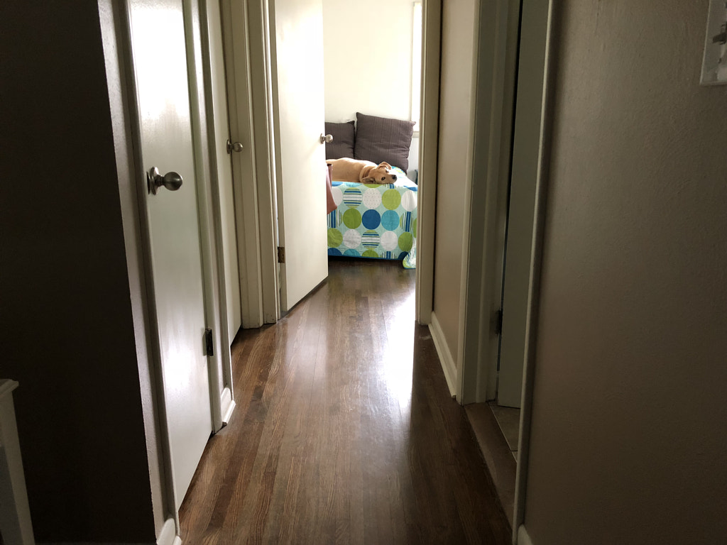 Untitled by Jacqueline and Kevin Reape on 500px.com