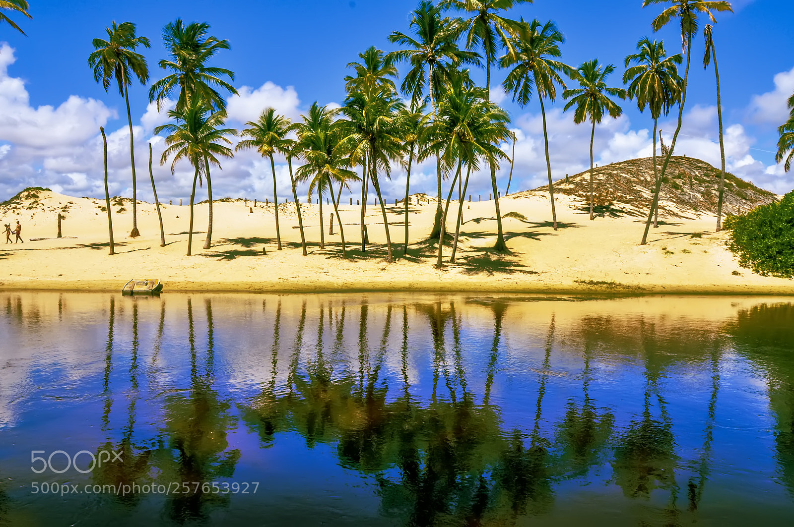 Nikon D90 sample photo. Paradise of natal, rn photography