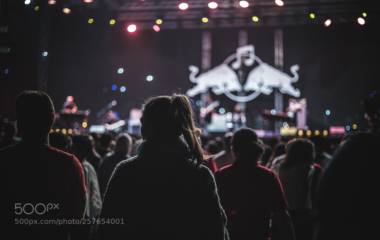 Canon EOS 6D sample photo. Concert photography