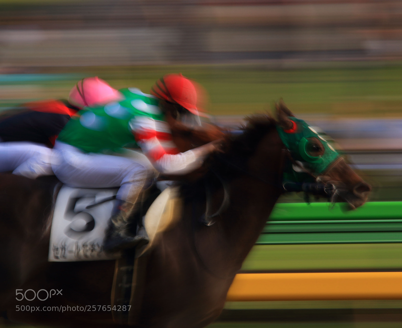 Canon EOS 7D Mark II sample photo. Horse race photography