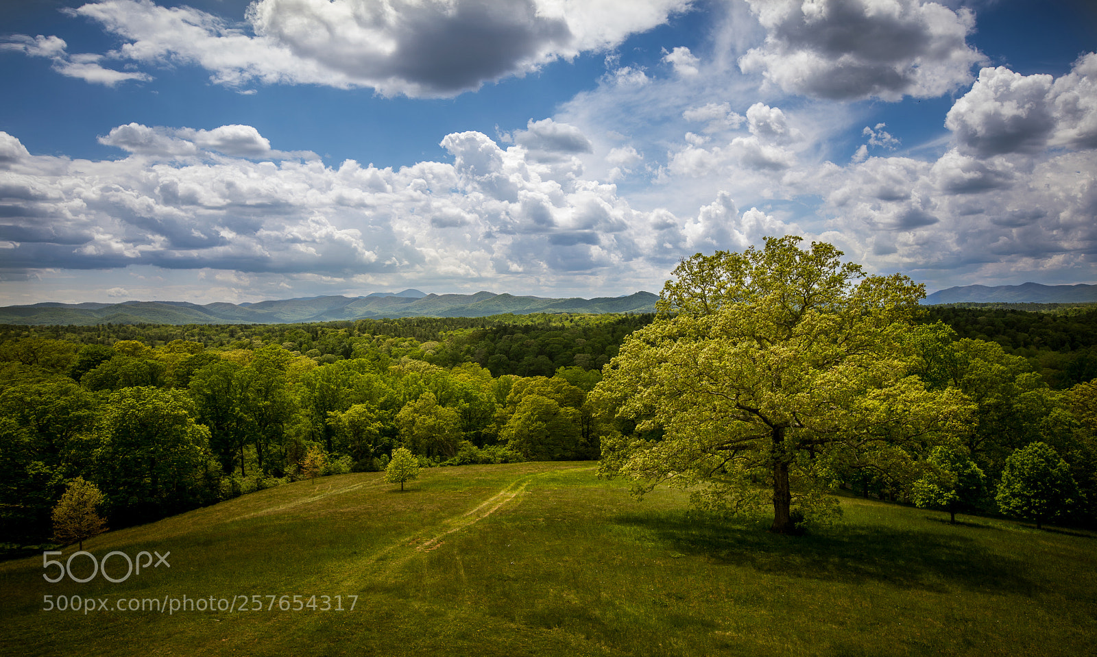Canon EOS 5D Mark IV sample photo. Ashville, north carolina photography