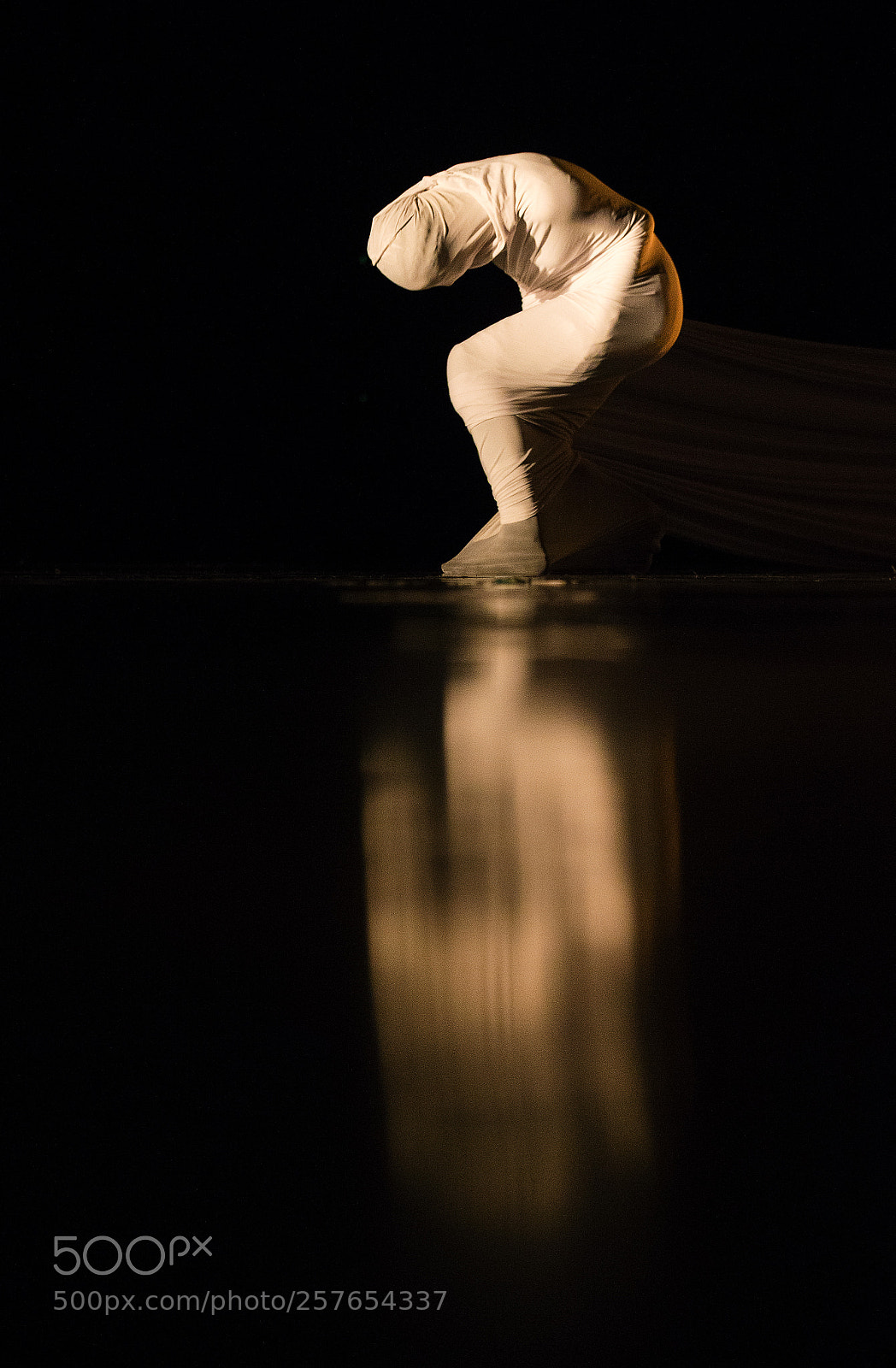 Canon EOS-1D X sample photo. 音舞集·六 photography